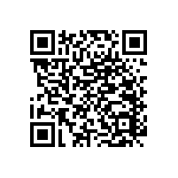 老年人比較推薦--廁所安全扶手