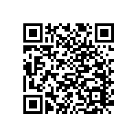 老年人馬桶入廁扶手架-簡(jiǎn)約便利【藍(lán)品盾】