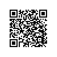 老年人衛(wèi)生間扶手找【藍(lán)品盾】廠家 質(zhì)量有保證