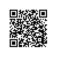 老年人衛(wèi)生間浴缸扶手哪種款式好?