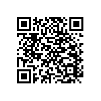 老年衛(wèi)生間扶手-帶呼喚器的升級版？【藍品盾】