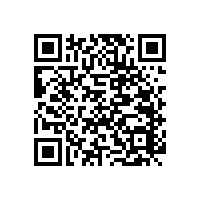 老年衛(wèi)生間扶手衛(wèi)生間的防滑助力【藍(lán)品盾】