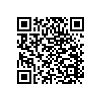 老年衛(wèi)生間坐便扶手的重要性【藍(lán)品盾】