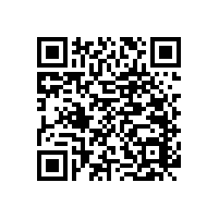 【遼寧】新款衛(wèi)浴扶手，高要求嚴(yán)品質(zhì)