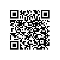 老年醫(yī)院衛(wèi)生間扶手浴室必備的多功能款式【藍(lán)品盾】