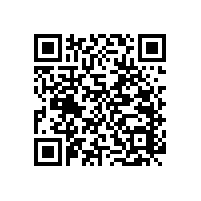 【藍品盾】不銹鋼無障礙小便池扶手