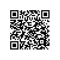 藍品盾常見的衛(wèi)生間扶手一般多長