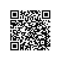 藍(lán)品盾殘疾人老年人坐便扶手一看就明白了