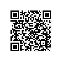 藍(lán)品盾殘疾人衛(wèi)生間扶手工廠的師傅們辛苦啦！