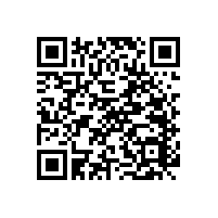 【藍(lán)品盾】殘疾人衛(wèi)生間馬桶扶手要多少錢？