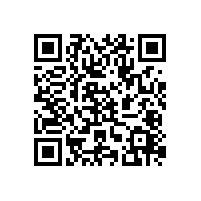 藍(lán)品盾殘疾人無障礙馬桶扶手多少錢？