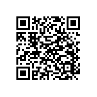 藍(lán)品盾公共廁所殘疾人扶手配套安裝更安全