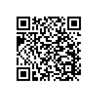 藍品盾老年衛(wèi)浴扶手浴室安全防跌倒