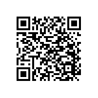 藍品盾老人廁所蹲坑扶手上百種款式免費送貨上門