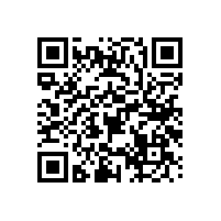 【藍品盾】馬桶扶手衛(wèi)生間扶手-簡約實惠款&豪華款