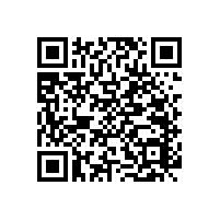 【藍(lán)品盾】適合安裝在公廁的殘疾人衛(wèi)生間安全扶手