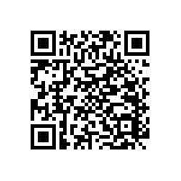 藍(lán)品盾衛(wèi)生間殘疾人扶手