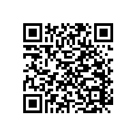 【藍(lán)品盾】衛(wèi)生間扶手-真正做到安全與多功能于一體