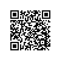 【藍品盾】衛(wèi)生間馬桶扶手雙側(cè)安裝