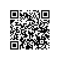 藍(lán)品盾衛(wèi)生間無障礙輔助扶手最常用款式