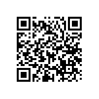 藍品盾衛(wèi)生間無障礙輔助扶手常用款式