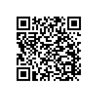 藍品盾~衛(wèi)生間浴室扶手-安全實用都要做到