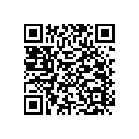 藍(lán)品盾無障礙扶手生產(chǎn)廠家 優(yōu)選材質(zhì) 質(zhì)量有保證