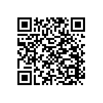 【藍品盾】無障礙扶手 之關愛孕媽安全