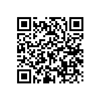 藍品盾養(yǎng)老院衛(wèi)生間扶手-款多可訂做