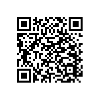 藍品盾醫(yī)用扶手價格是多少錢？