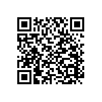 藍品盾坐便器安全扶手 小扶手大用場