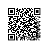 【藍(lán)品盾】之新款的殘疾人無障礙通道扶手