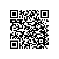 【藍(lán)品盾】這些款式的殘疾人衛(wèi)生間扶手安全又美觀呢