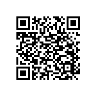 老人安全衛(wèi)生間扶手省空間的小妙招【藍(lán)品盾】