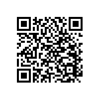 老人殘疾人衛(wèi)浴防護(hù)神器--無障礙扶手和沐浴椅