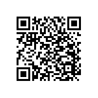 老人/殘疾人無障礙上翻折疊馬桶扶手