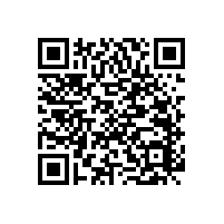 老人、殘疾人坐便器附加支撐設(shè)備--安全扶手