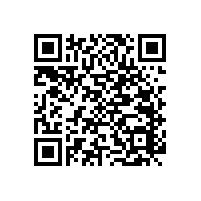 老人廁所扶手/不易腐蝕【藍品盾】