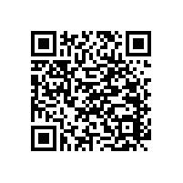 老人扶手，安全 觸手可及