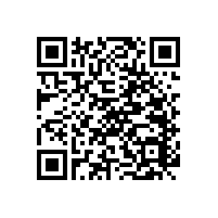 老人扶手欄桿衛(wèi)生間抗菌款也時尚百搭