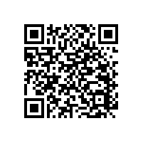 老人淋浴扶手，不僅顏值高還十分穩(wěn)固耐用