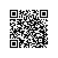 老人們的衛(wèi)生間和淋浴房里的扶手