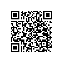 老人馬桶扶手安裝多高合適？【藍品盾】