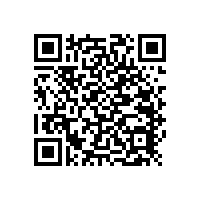 老人室內(nèi)無(wú)障礙扶手藍(lán)品盾新品