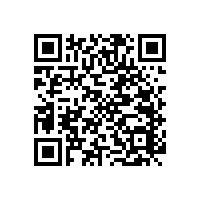 老人上衛(wèi)生間馬桶邊的扶手老人生活必要的用品【藍(lán)品盾】