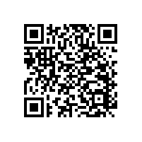 老人衛(wèi)生間安全扶手-個性化的設(shè)計讓老人使用更方便【藍(lán)品盾】