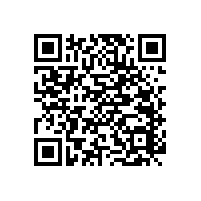 老人衛(wèi)生間扶手尼龍材質(zhì)的有哪些款式？