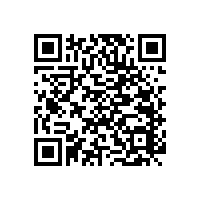 老人衛(wèi)生間折疊扶手簡(jiǎn)單設(shè)計(jì)輕松防滑！【藍(lán)品盾】