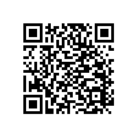 老人衛(wèi)生間自動收放扶手