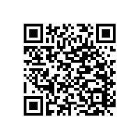 老人用的衛(wèi)生間馬桶扶手【藍品盾】